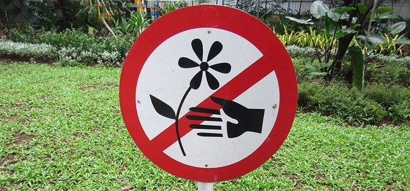 Internet of Things (IoT) Security Diagram by Synopsys