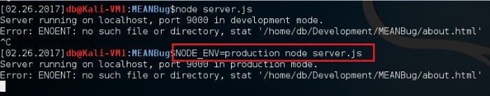 Setting NODE_ENV Variable in Node.js Runtime Environment