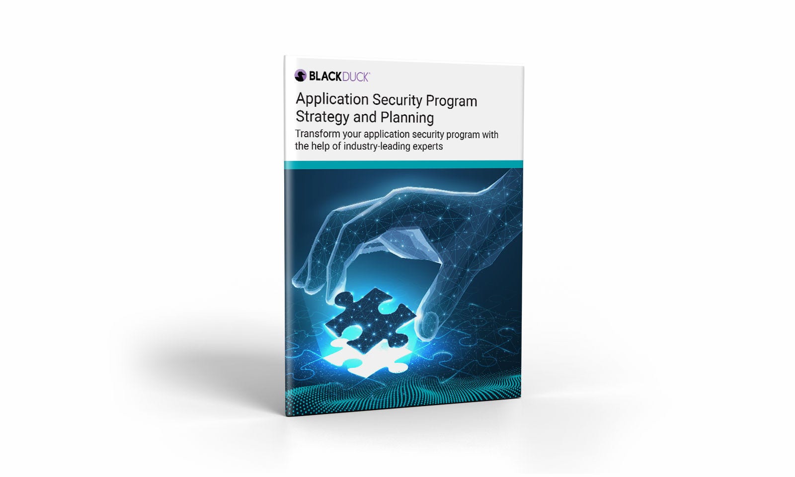 Application Security Testing Services Guide