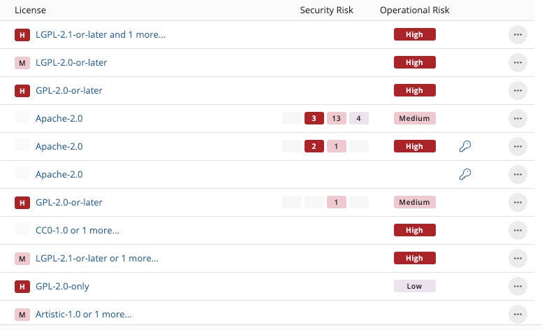 A visual of Black Duck SCA report highlighting the dependency risk insights in containers, including security, license, and operational risk.