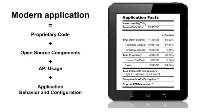 Application Security Testing Diagram Showing Proprietary Code, Open Source Components, API Usage, and Application Behavior and Configuration