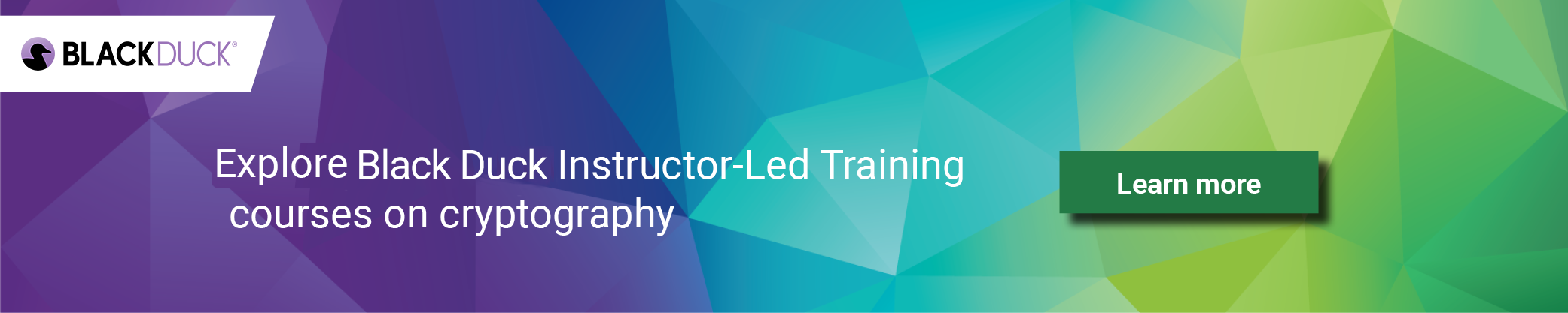 Black Duck Instructor-led training ad banner