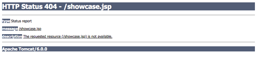 Apache Struts Environments Diagram Showing Error Message