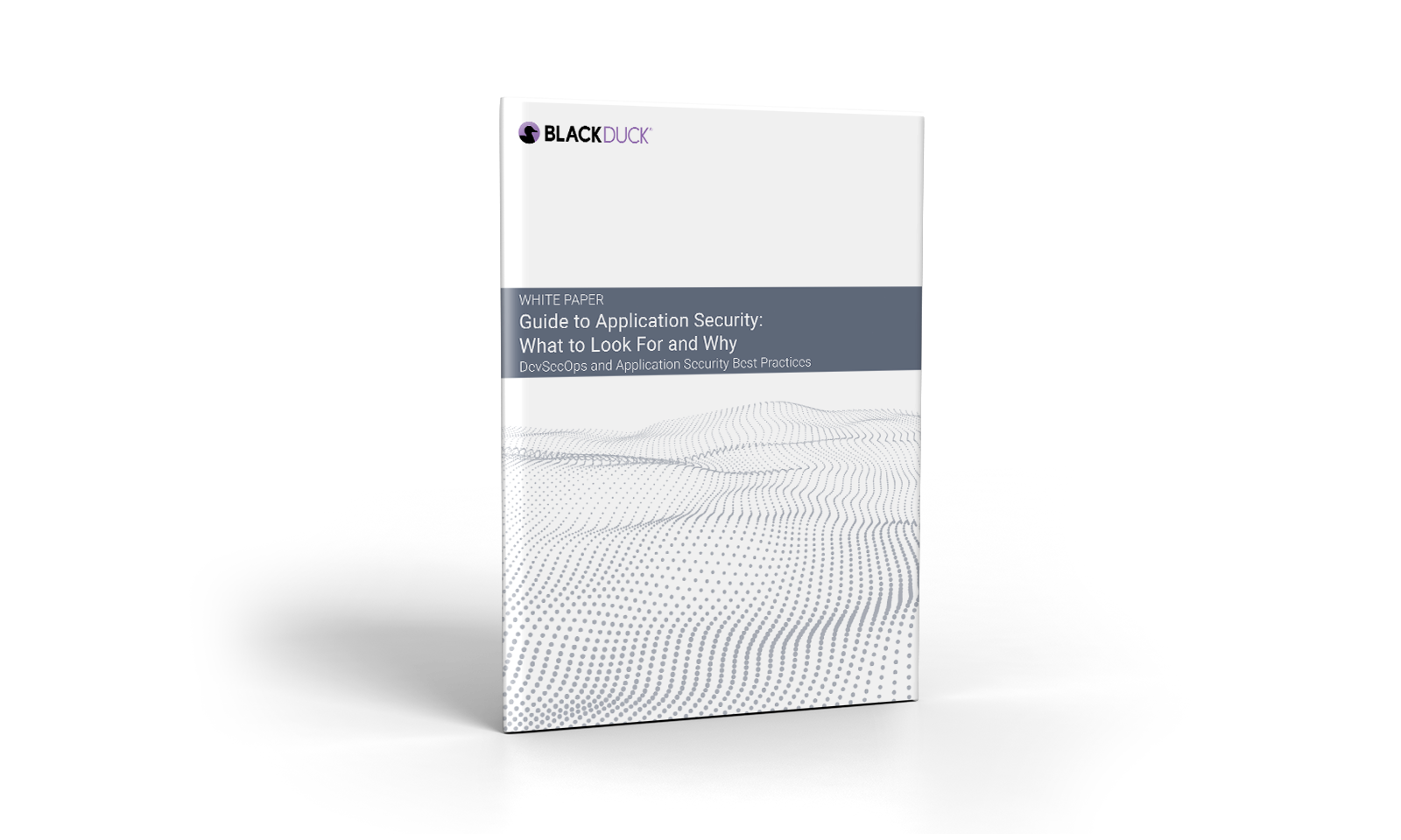 Guide to Application Security: What to Look For and Why Cover