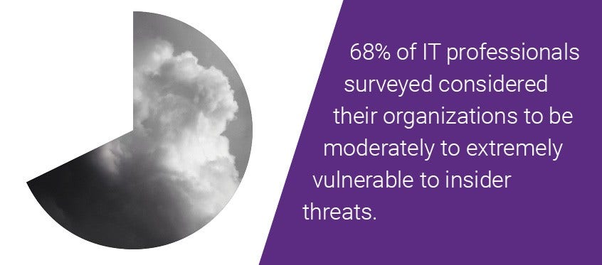 Graphical Representation of IT Professionals Concerned About Insider Threats in Cloud Security