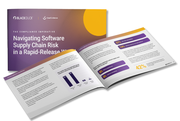 Navigating Software Supply Chain Risk in a Rapid-Release World cover
