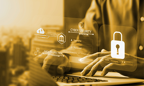 software is everyone's responsibility 