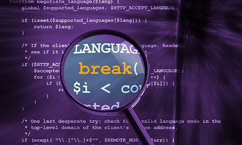identifying and resolving software vulnerabilities