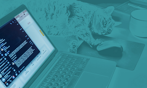 building trust in software with M&A