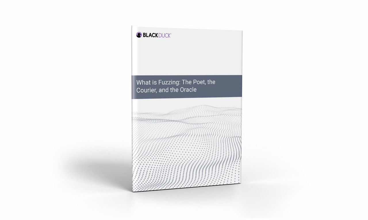 What is Fuzzing Cover