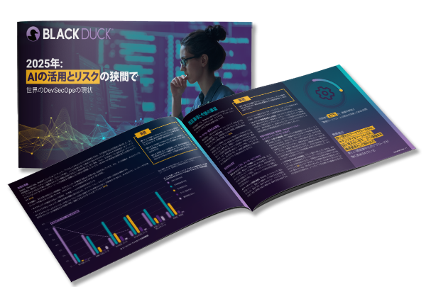 世界のDevSecOps の現状 2025 