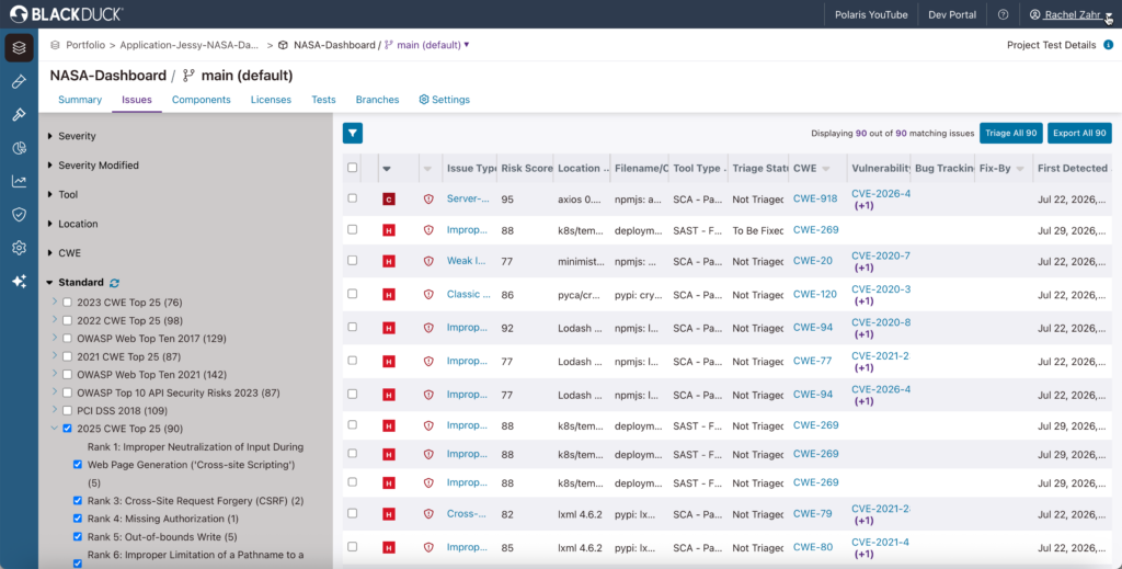 CWE Top 25_Issues View Screenshot_NEW